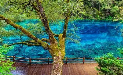 桂河湿地公园景区攻略和价格